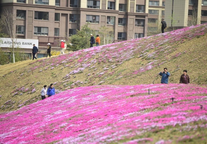 “泉”在济南过五一 