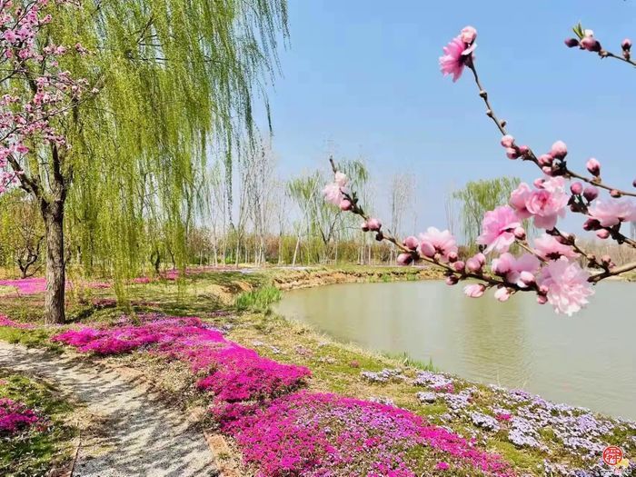 “这里是章丘！”—官庄篇