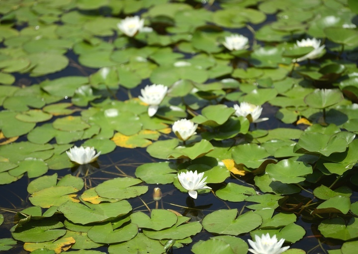 夏日休闲好去处，打卡最美华山湖