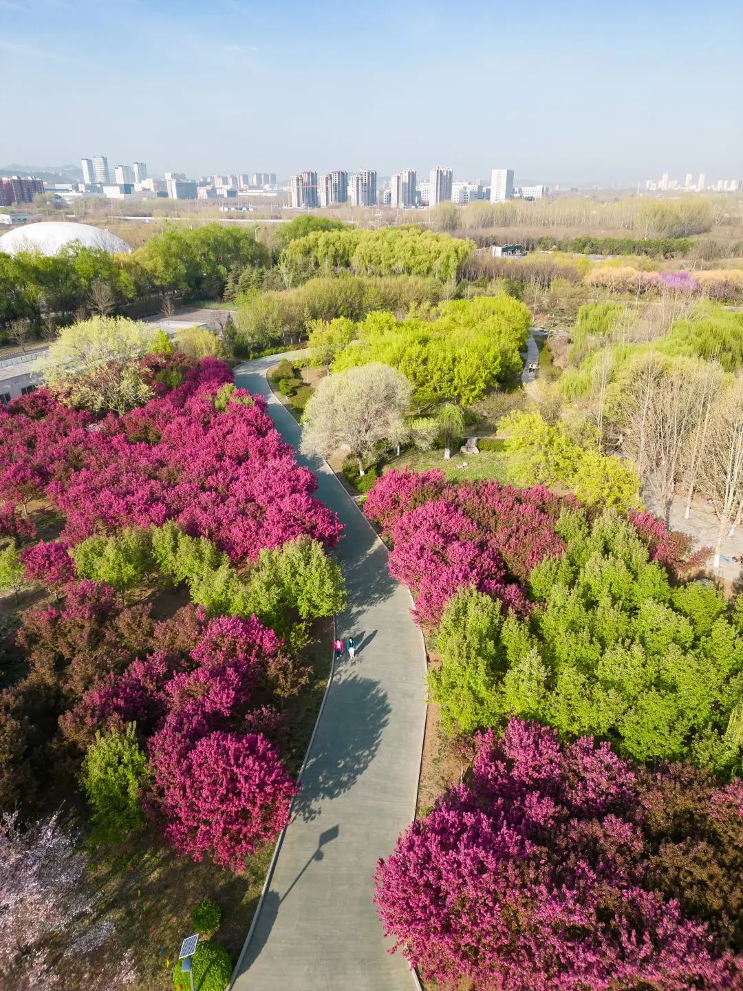 “泉”在济南过五一｜“泉意”文旅游玩攻略 邀您共度美好假期