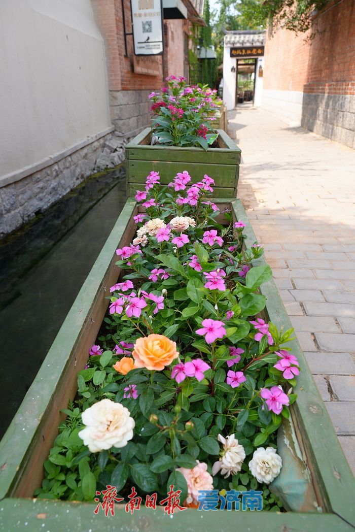 一年四季 泉在济南 