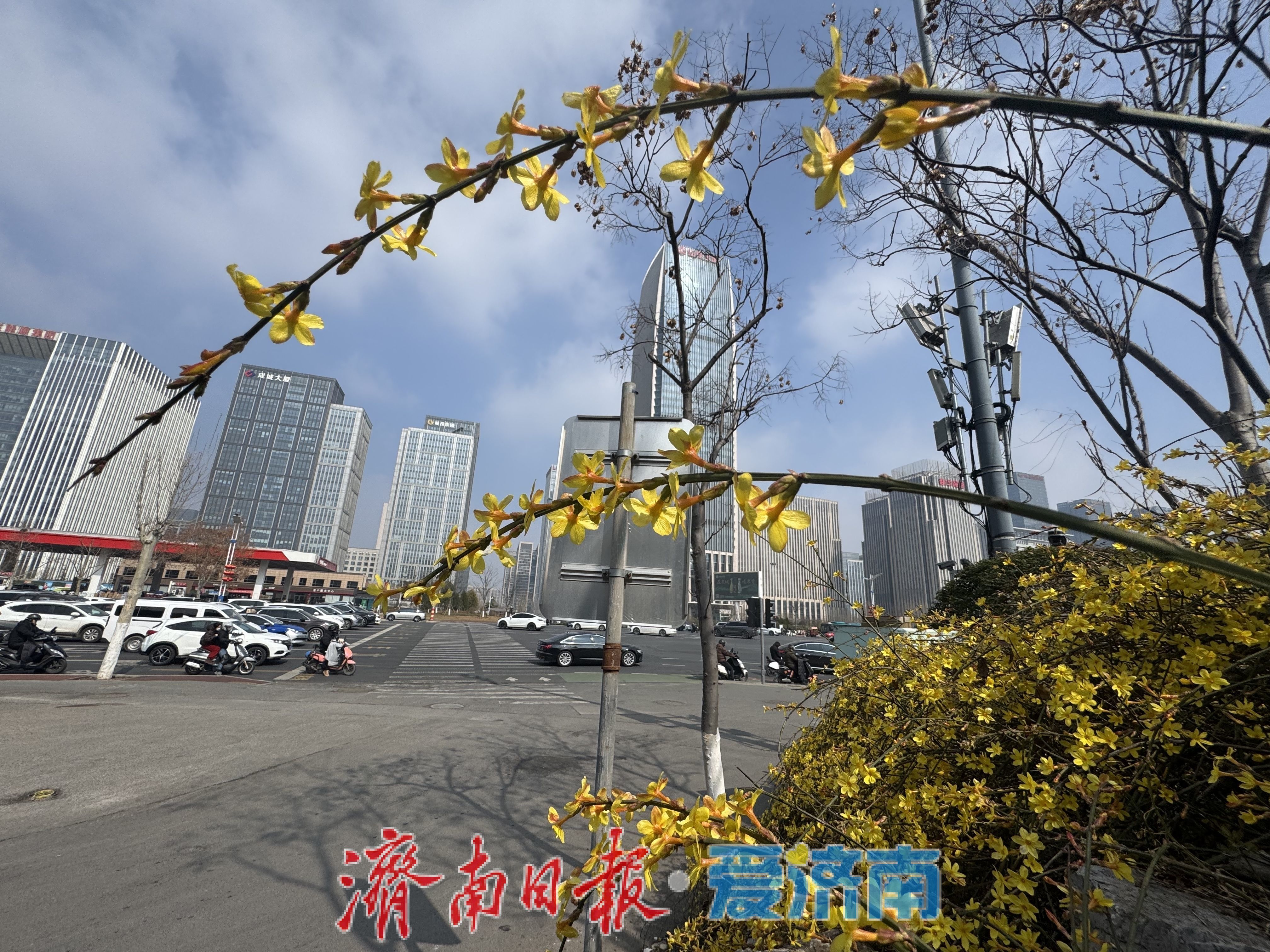 雾散晴归！济南暖阳上线绘就春日城市画卷