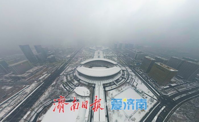 雪染 “东荷西柳” 济南奥体中心现水墨盛景