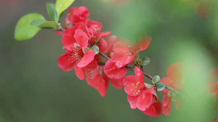 “醉”美五龙潭