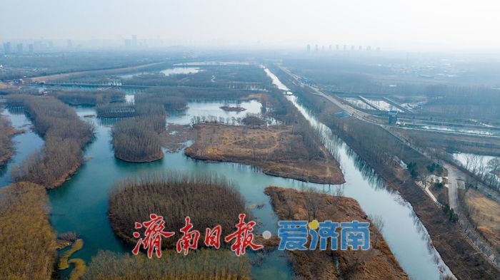 一年四季 泉在济南｜春水初生，静候知音：小清河源头“无人之境”的春日生机