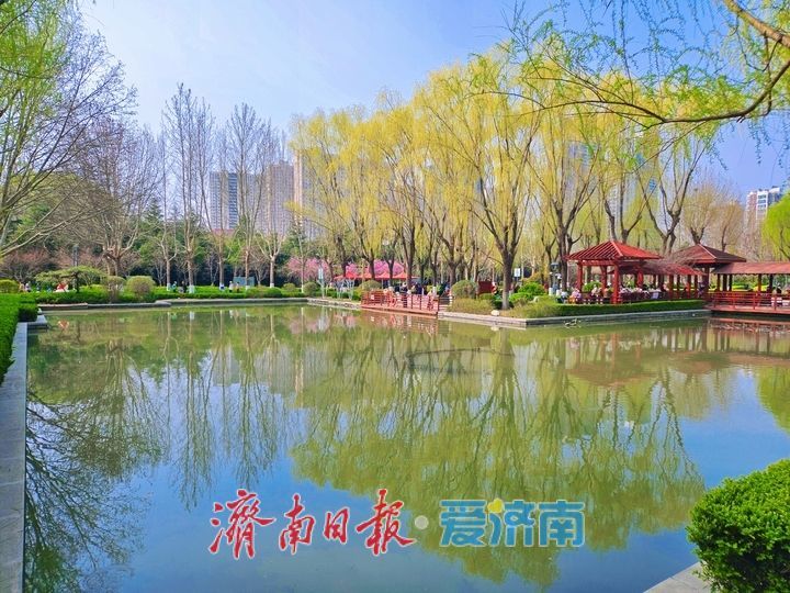 一年四季 泉在济南｜济南苗圃公园绽放春日生态美景