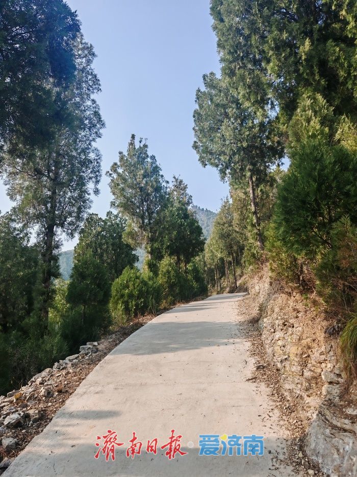 初冬访石人石马，立石山间觅悠然