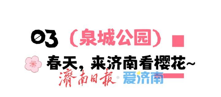 接下来，济南的人设是“樱花主理人”