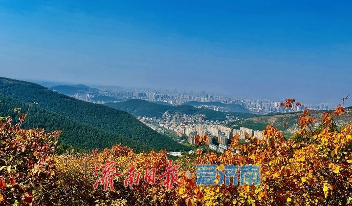 一年四季 泉在济南丨一山两季！泉城蝎子山秋色渐浓
