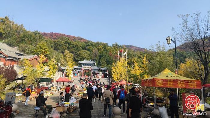 垛庄镇：秋意浓文旅热，“漫山红叶”引领赏秋新风尚