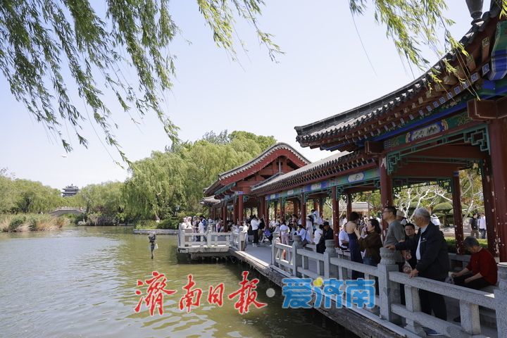 一年四季 泉在济南｜“五一”游大明湖：人潮涌动似春运，初夏盛景别样红