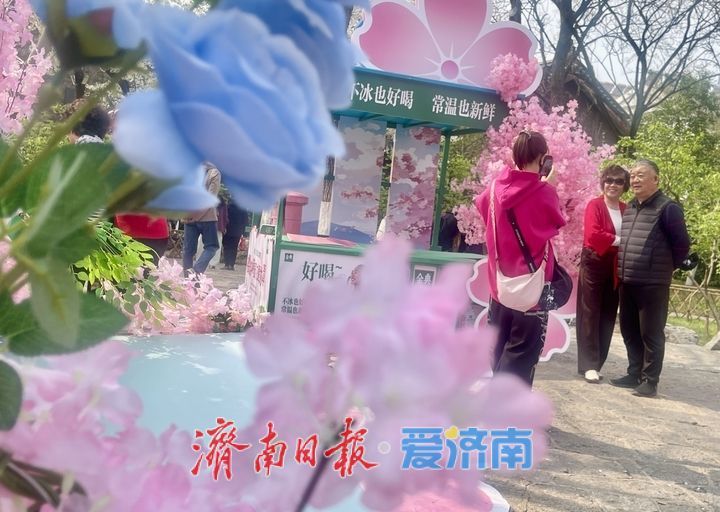 一年四季 泉在济南｜五龙潭樱花市集开市 非遗文创、汉服体验成亮点