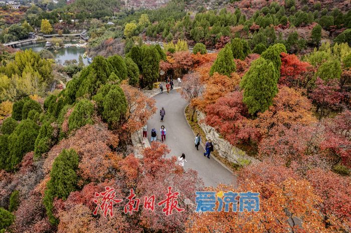 济南红叶谷氛围感拉满！沉浸式感受“万山红遍”的限定浪漫