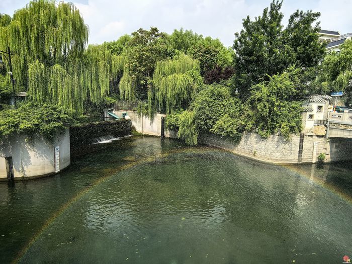 绿意中的“再商量”：济南市政协再次开展现场商量助推绿地共享提质升级