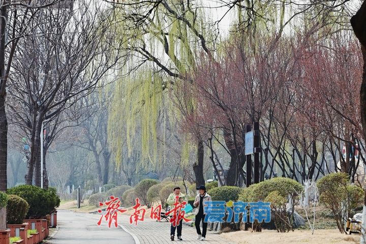 一年四季 泉在济南丨春水映花柳色新 济南园博园迎来踏青赏花好时节