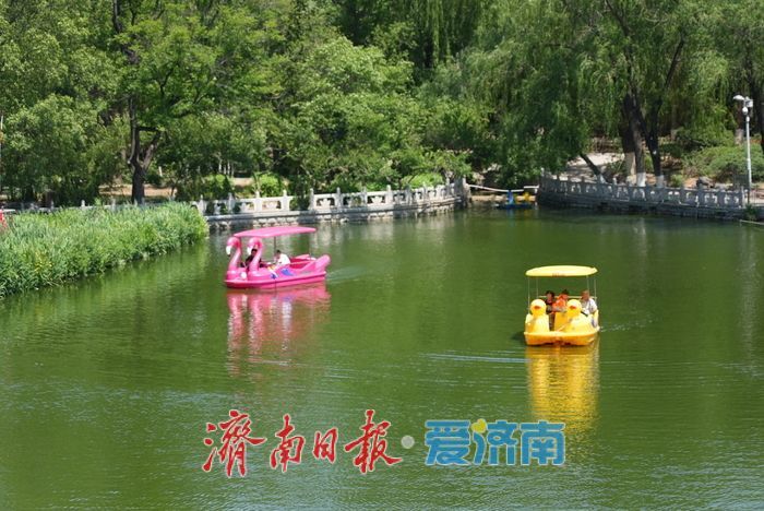初夏泛舟，市民乐享“水上时光”