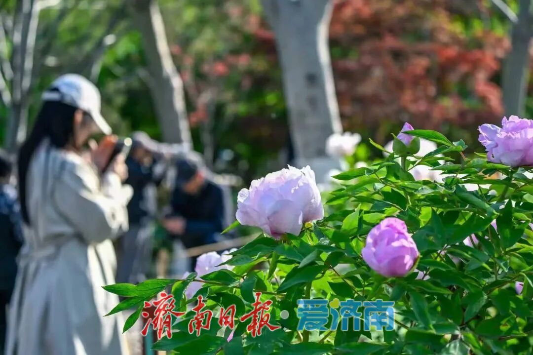 乘地铁，寻古韵！端午假期漫游泉城