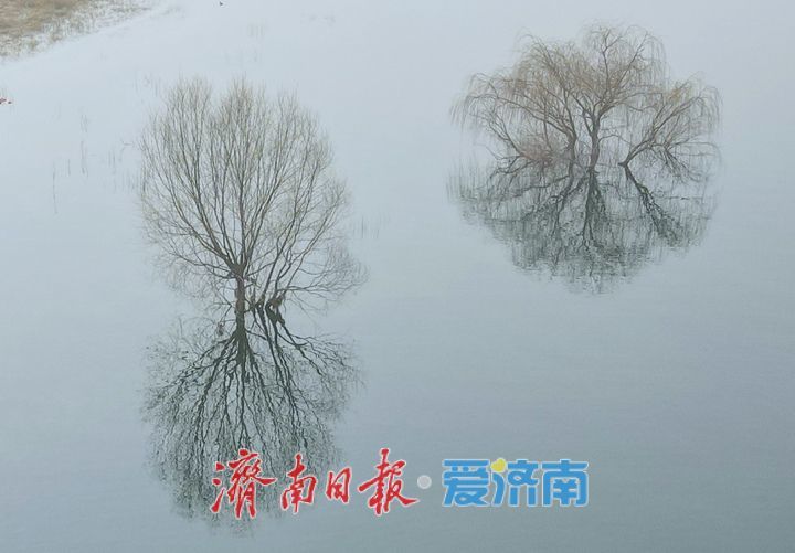 泉城年味气氛组已就位，是“蛇”候过年啦！