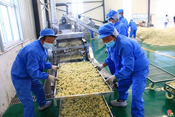 章丘官庄街道：沃野耕耘，乡村蝶变振兴有道