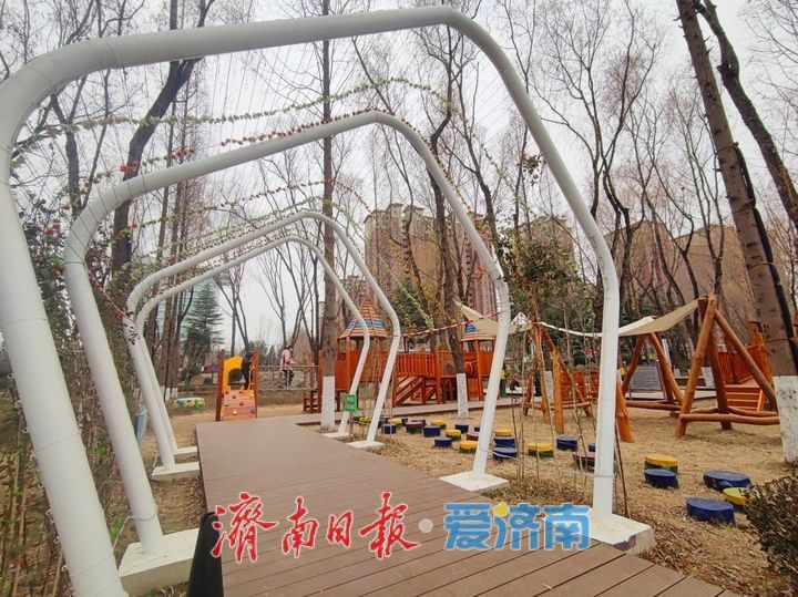 莱芜凤凰公园新晋打卡地 生态文化交融引市民青睐