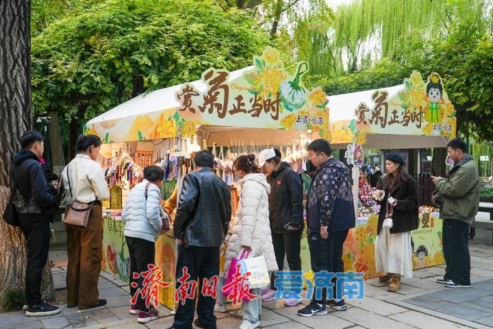 济南市第47届趵突泉金秋菊展将于10月24日盛装启幕