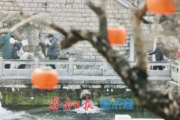 泉声伴灯影 济南护城河畔迎新春