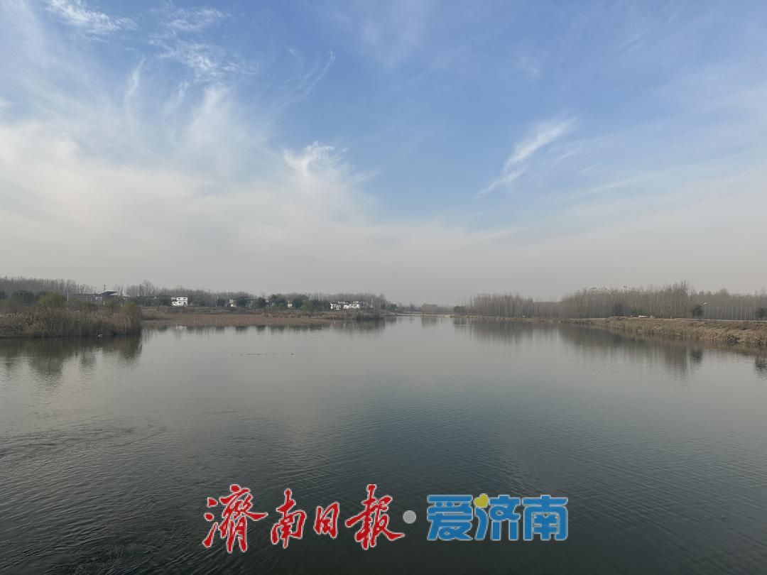 “环保鸟”白鹭为何爱上北大沙河