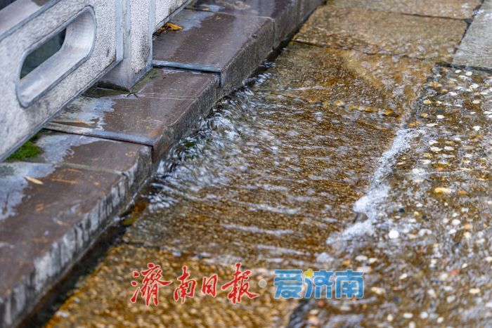 泉水漫溢路成河，保安暖心“护航”绘就园区最美风景
