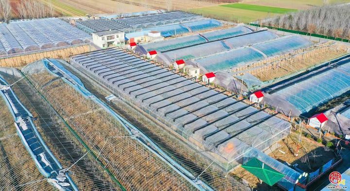 章丘区：开展专家服务活动 发展特色农业 助力乡村振兴发展