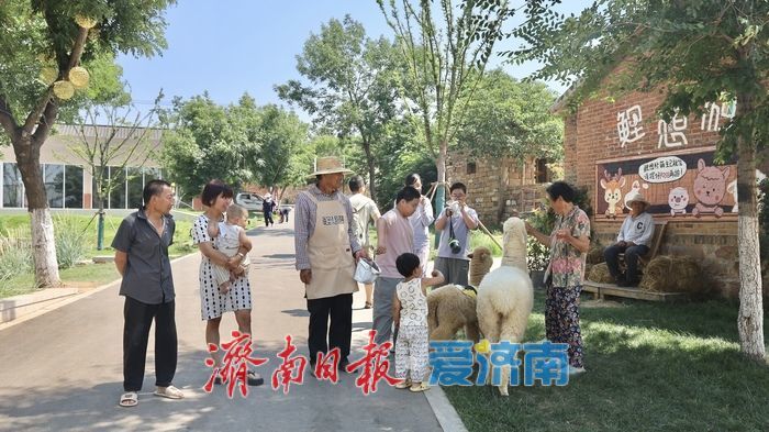 济南这个“网红村”，凭什么逆袭？