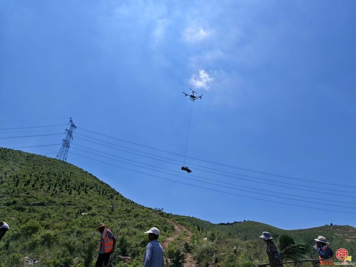 趁雨季、克难关、添新绿！济南园林全力推进雨季造林 勾勒泉城生态秀美底色