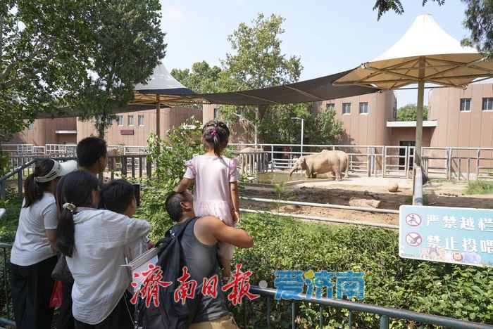 一年四季 泉在济南｜济南动物园暑期人气旺，亲子游成主流