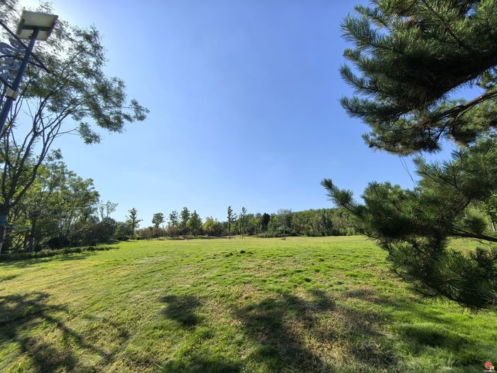 让百姓从“赏绿”到“享绿”  济南市政协月度商量推进绿地开放共享