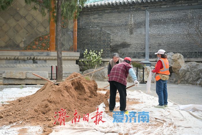 山东古建筑博物馆庭院“微更新”，历史与观赏双提升