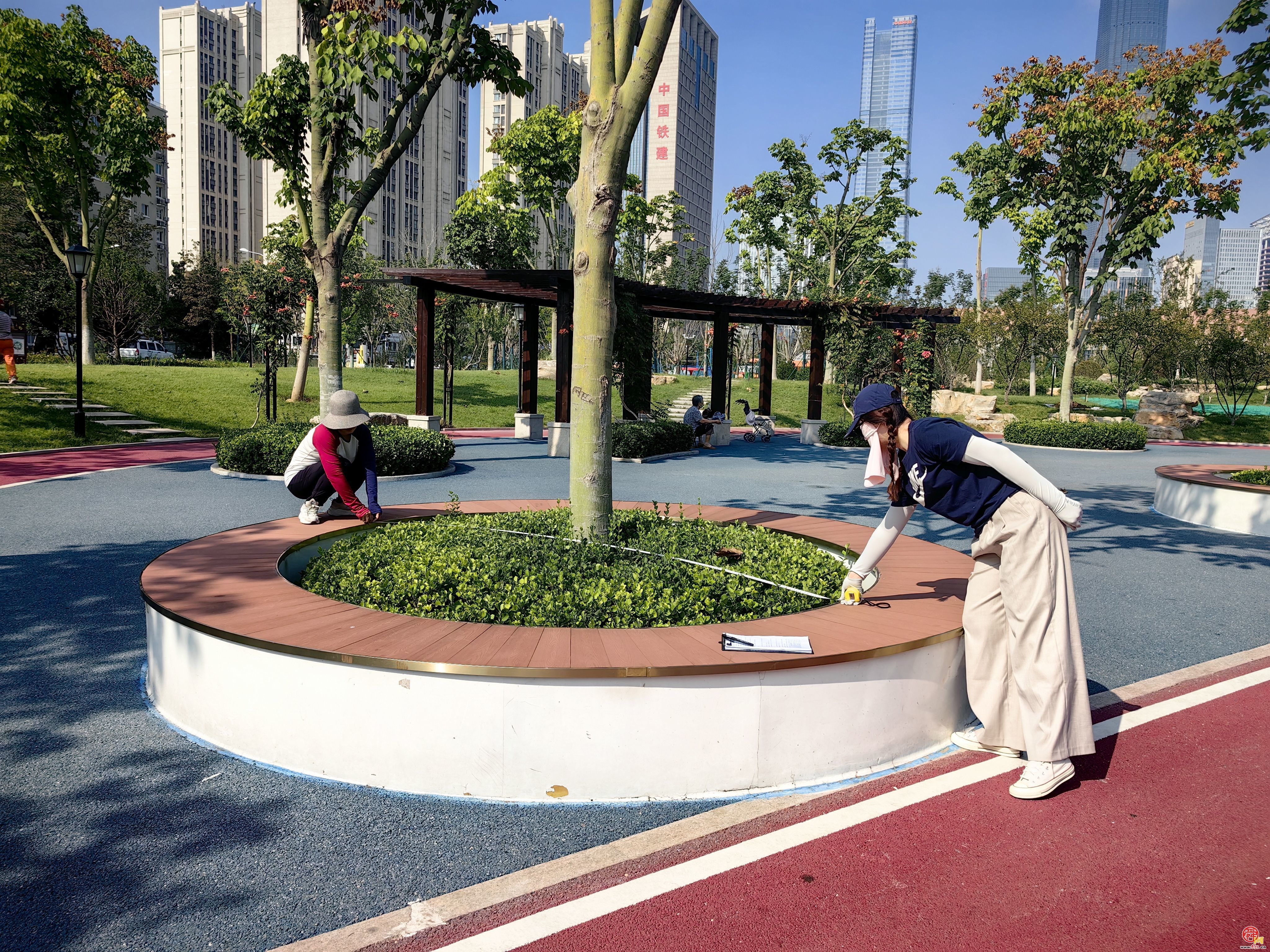 济南发布《济南市树池建设管理技术指引（试行）》