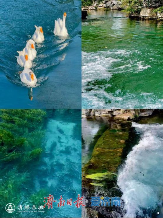 清照泉城开启夏日主题活动18℃泉水解锁宋韵清凉度假