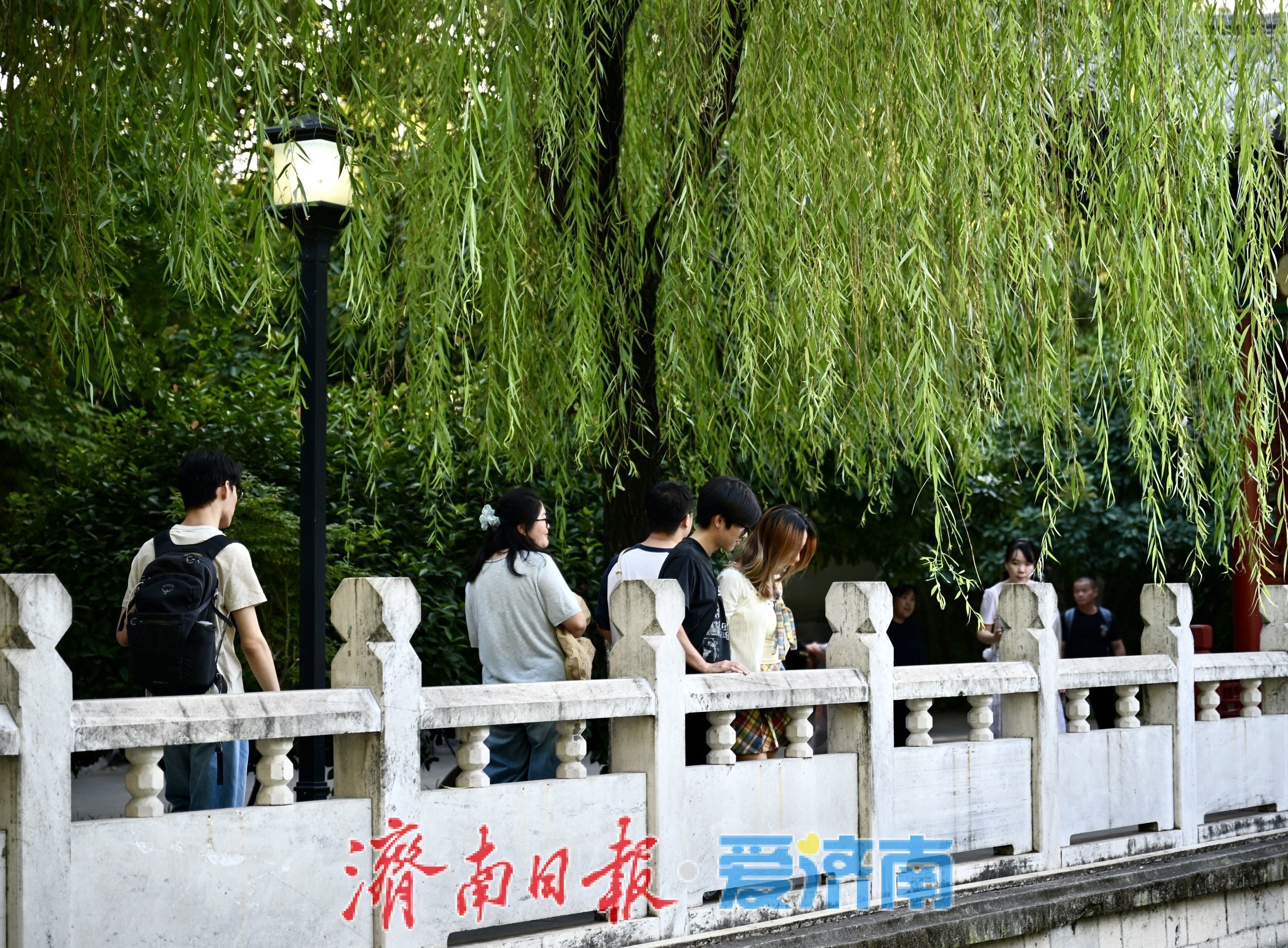 秋染珍珠泉 泉城古韵引游人沉醉