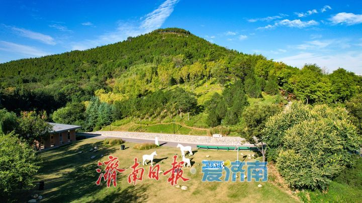 层林染秋韵 济南茂岭山公园秋日风光如画