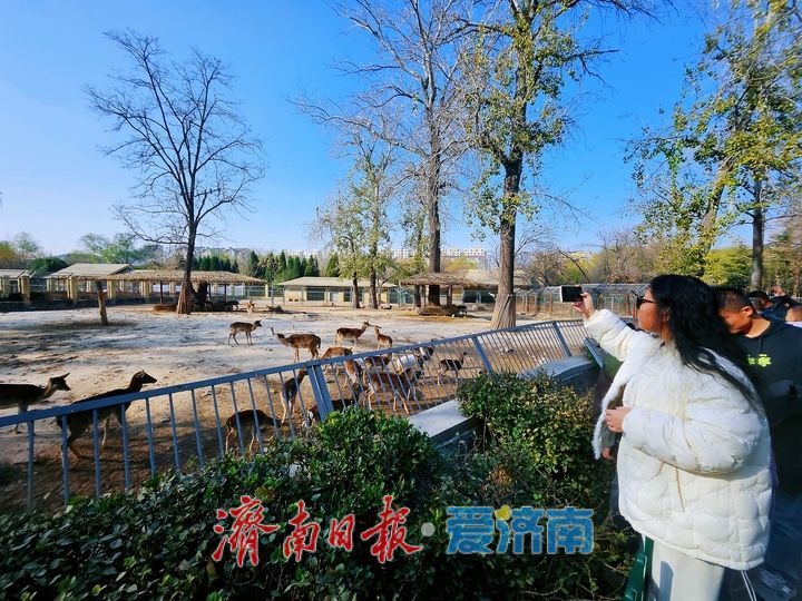 一年四季 泉在济南丨拥抱自然 乐享美好时光