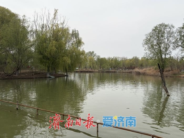 这个春天，别只“Color Walk”，来济南赴一场“Bird Walk”