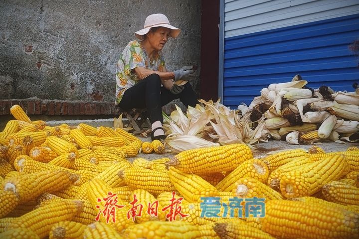 抢抓夏日好天光 晾晒作物保收成