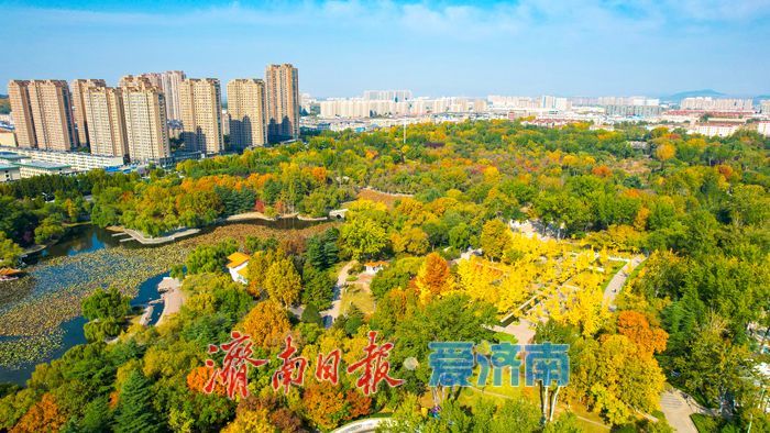 莱芜红石公园秋意浓 红石秋叶绘就多彩画卷