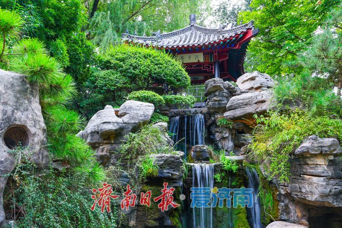 秋景如画引客来 趵突泉景区中秋假期客流平稳景致怡人
