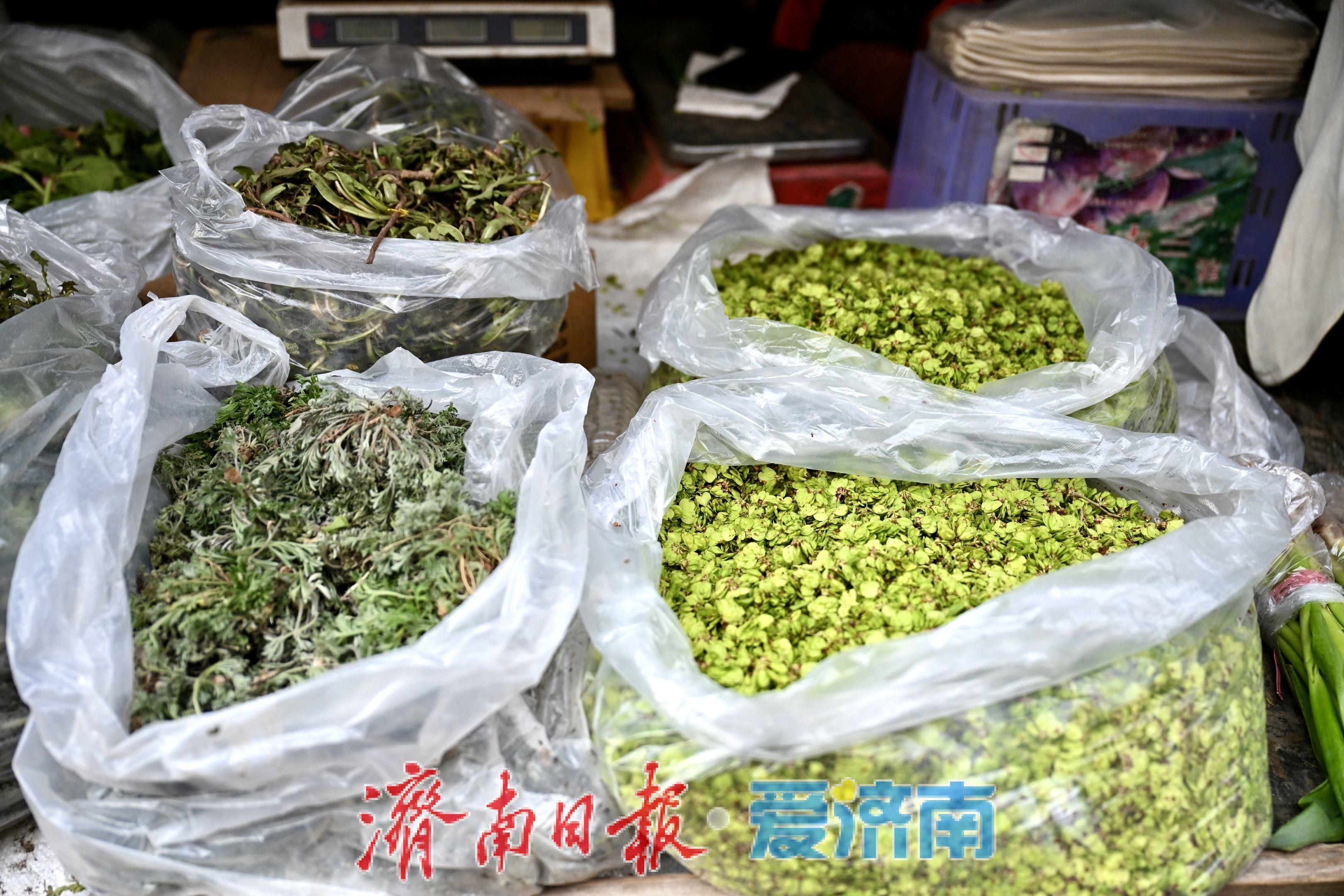 济南民族大街市场春菜上市 价格稳中有降人气旺