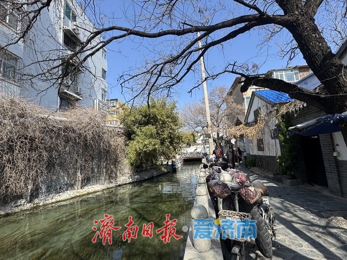 春光正好 于家桥尽享济南市井慢生活