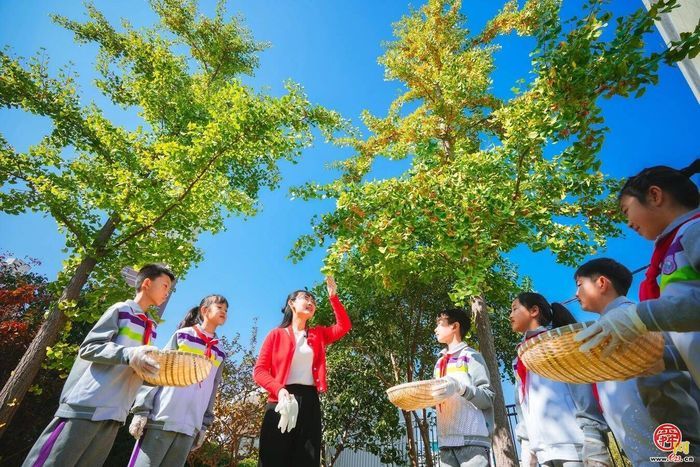 “好上学”“上好学” 新学期槐荫新增学位1.4万个