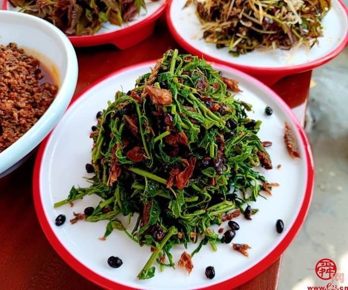 章丘宣讲带您走进舌尖上的“椿”天