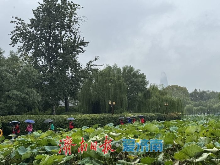 一年四季 泉在济南丨秋雨润明湖 人在画中游