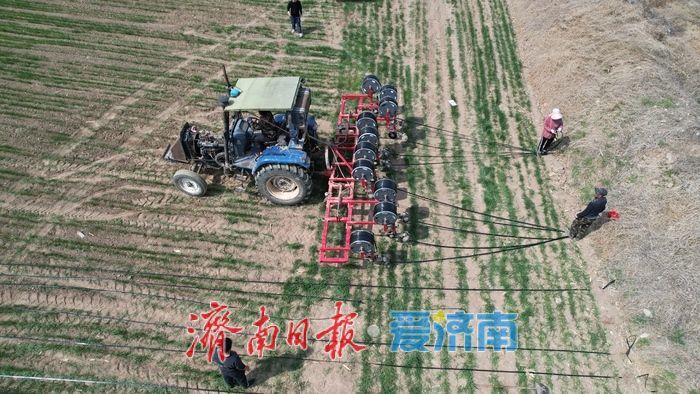 黄河北岸麦田 “滴灌解渴” 科技赋能夏粮增产