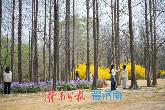 一年四季 泉在济南丨泉城春色浓 森林公园变身“春日调色盘”